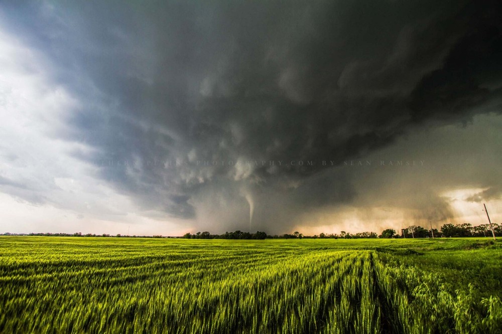 Storm Photography Print – Tornado Emerging from Rain Over Wheat Field in Kansas