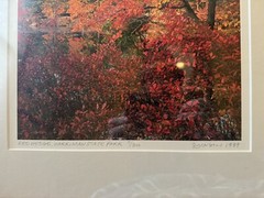 Nick Zungoli Set of Four Framed Photographs Signed Hundson Valley Photographer