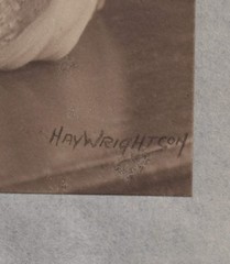 Antique Black and White Photograph of a Woman, Shot by Hay Wrightson