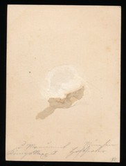 Albumin on Cardboard – View of Munich – Circa 1870s