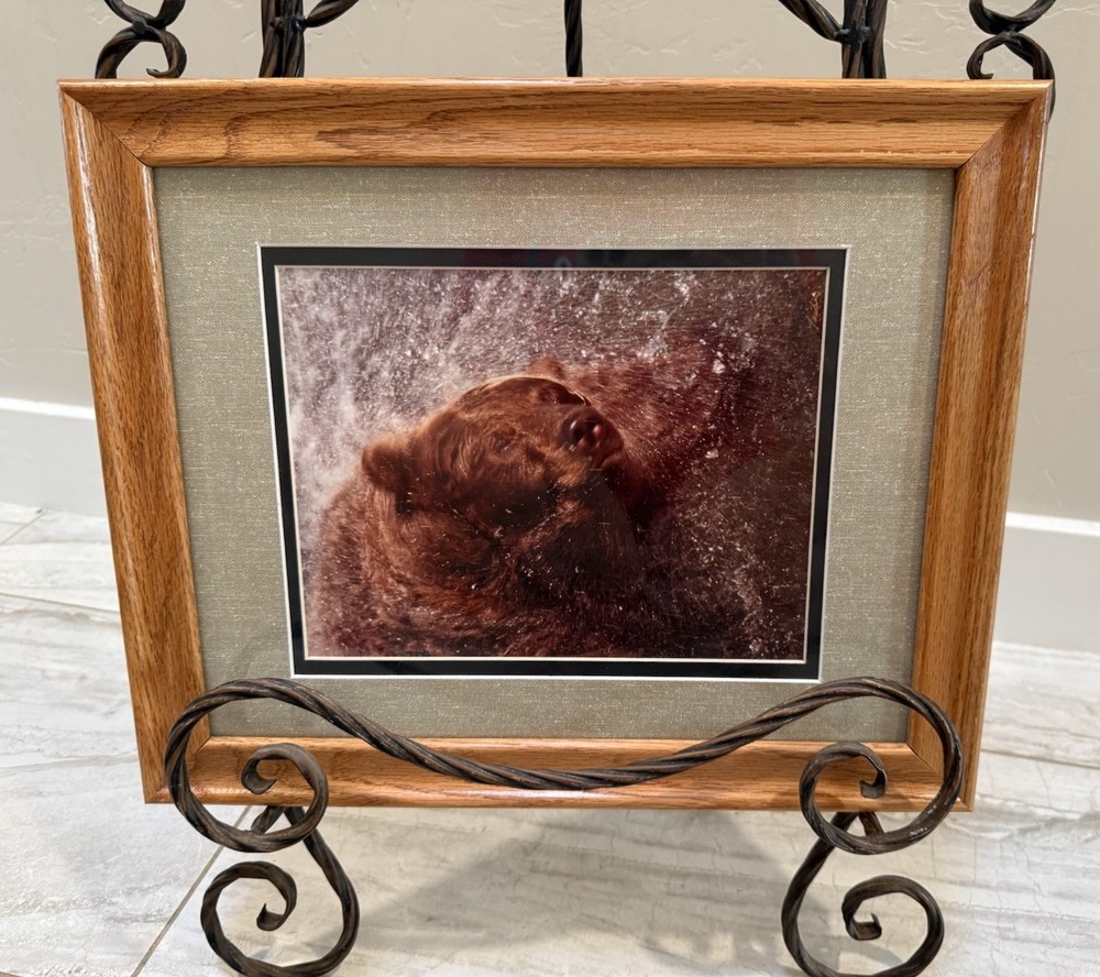 Vintage Jasper James Signed Framed Grizzly Bear Framed Nature Photography 16×13”
