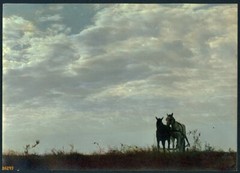 Larger size hand colored fine art Photograph, horses w clouds, 1930’s