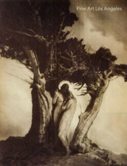 Anne Brigman Photo «The Heart of the Storm» 1902