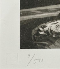 Milton H.greene – Marilyn Monroe Is Ready To Read Your Palm – Digital Proof