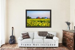 Country Photography Print – Picture of Red Barn in Canola Field in Oklahoma