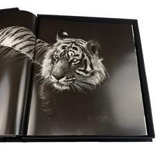 David Yarrow Wild Encounters Signed Book Rizzoli Artist Proof AP Clamshell Box