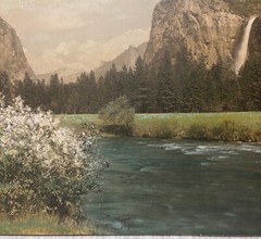 Antique ‘Gates of YOSEMITE El Capitan’ Hand Colored MAMMOTH ALBUMEN Photograph