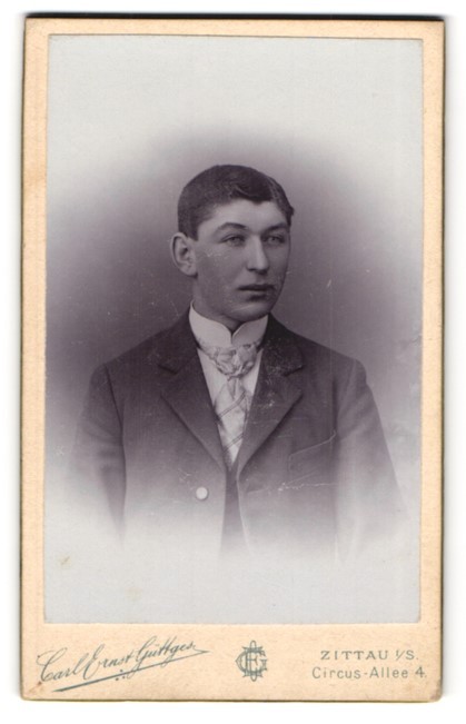 Photograph Carl Ernst Güttges, Zittau, Circus-Allee 4, young man in suit with