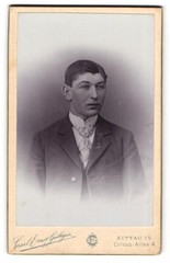 Photograph Carl Ernst Güttges, Zittau, Circus-Allee 4, young man in suit with
