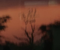 Chitabe Sunset Botswana by Tony Newlin 60″ x 20″ Artist Signed Print #22/500