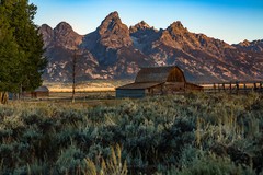 Western Wall Decor Art Print of Old Barn in Grand Teton National Park Wyoming