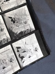 NEWLY FOUND Hendrickson PHOTO Contact Sheet Proof & Negs JUST A COWBOY & HIS DOG