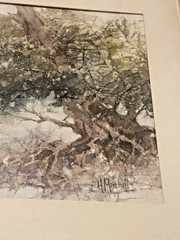 Nature Scene Signed Helen Mitchell Impressionist Landscape Artist Rivers Running