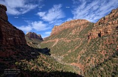 Left Fork of North Creek #2 Zion National Park Utah Poster Photo Print ZP05