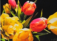 Art Photography Color Image Flowers Tulips 8 1/2″ X 11″ Processed Effect