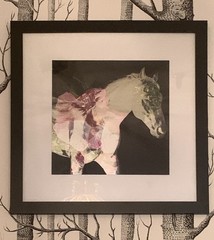 FLORAL HORSE art photo, unframed. Made to order. Different sizes available.