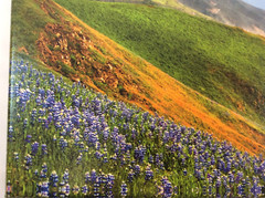 Lot of 2 BROCK BRADFORD Photographs Printed on Canvas ~ Big Sur ~ Ready to Hang