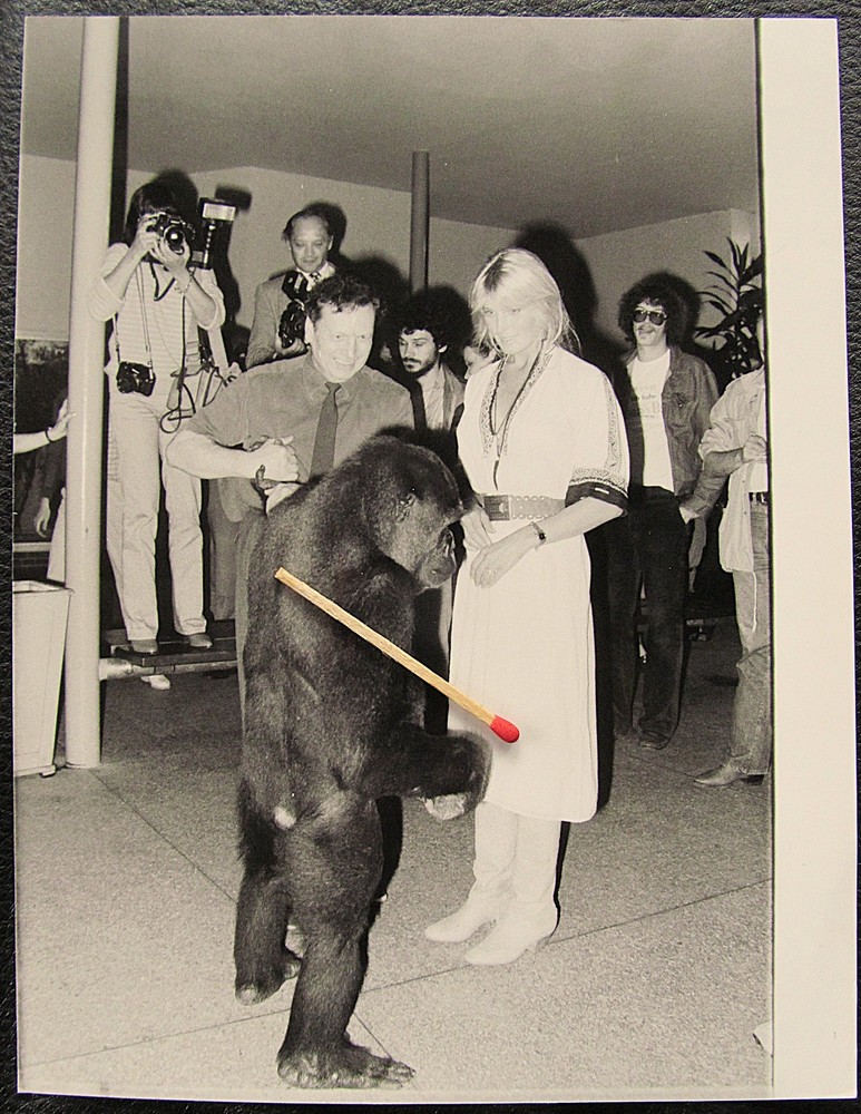 Young gorilla with Kurt Walter and actress? Berlin Zoo Large Photo