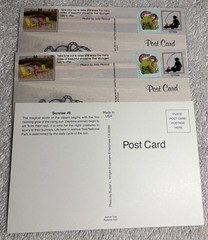 105 Nature Art Photographs 6×4” & 5.25 x4” Vibrant Colorful & 4 Post Cards
