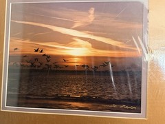 New Emmitt Phalen Sunset Geese Flock Over Water Framed Photograph Print