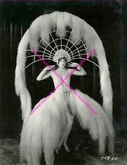LOVELY LEGGY ZIEGFELD GIRL 1929 FILM «THE DANCE OF LIFE» 8 1/2 x 11 PHOTO A-NCAL