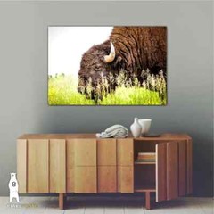 Buffalo Photography Prints – Great Plains Bison Wall Art – Midwest Decor