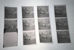 NEWLY FOUND! Hendrickson PHOTO Contact Sheet Proof & Negatives VICTORIAN COUPLES