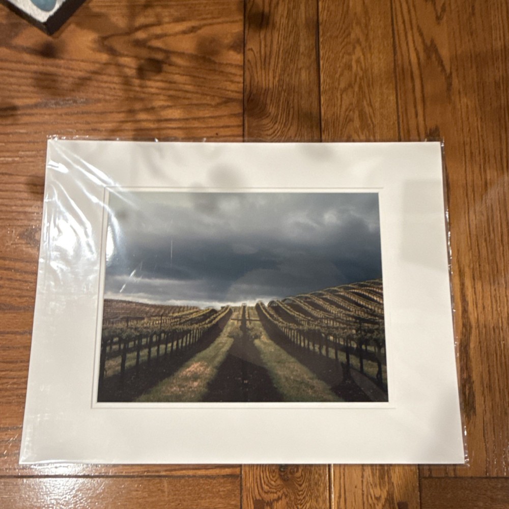 Tara McHenry Matted Vineyard Landscape Color Photograph Nature Agriculture Art