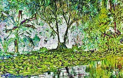 Photo of Tahitian lagoon. 24″x16″x.75″ photo on canvas and mounted by D M Haub.