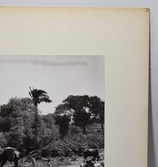 J.W. Howlett Black + white Photograph focusing on a Group of Travelers W/ Camel