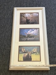 Signed Moose Nature Photography – Set of 3 Bull Moose 23×12 Frame 5×7 Pictures