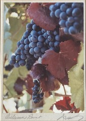 Artist Doreen Wynja Pair Vintage Photograph Art Wine Country Signed Matted EUC!!