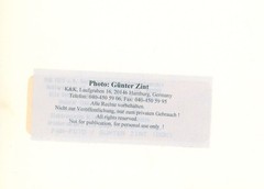 Günter Zint Castle Waldeck Folklore Festival 1964-69 Spectators Hippies Vintage XXL