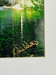 11 X 14 Photo in matte – signed by photographer Marie Whitton- BAHAMAS