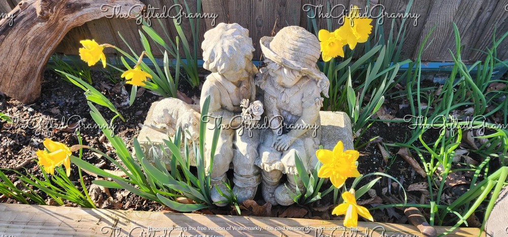 Digital Image Picture Photo Wallpaper Background Daffodils Yellow Yard Statue