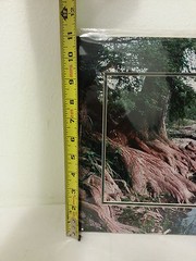 Dan Richards photo art 2 unframed new in plastic cover 14 x 11
