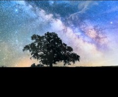 Milky Way Galaxy, 21×16”