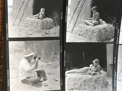 NEWLY FOUND Hendrickson PHOTO Contact Sheet Proof/Negs GIRL HOLDS KITTEN & DUCKS