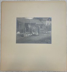 Collection of HENRY BUERGEL GOODWIN Uto Sweden & Portrait GELATIN Photographs