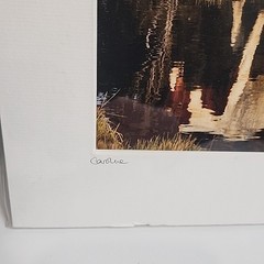 Horse Photograph Lot of 3 Equestrian Caroline Christie Signed Matted
