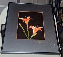 Cibachrome ART PRINT Signed & Framed Print Tony Festa RARE