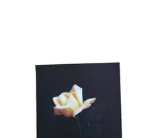 Large Yellow Flower Art Print Original Vintage 1980’s 16″X 21″ #2