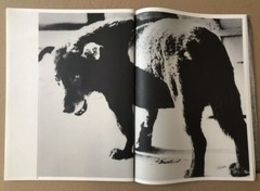🎈 RARE! Super Book! Daido Moriyama: Vintage Prints Shine Gallery 1Ed 2004 SALE!