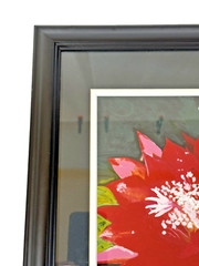 Epiphyllum or Orchid Cactus Brilliant Red Flower Photo Matted & Framed 13″Wx16″H