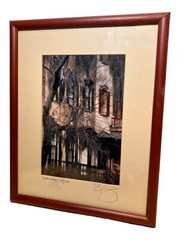Savannah Georgia Photograph Architecture Signed & Numbered 44/250 15 X 12”