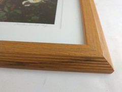 Signed Christine Loberg Dogwood Redwood Tree Photo Print Framed w/ Dedication
