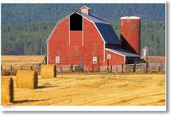 American Farm – Big Red Barn Americana POSTER