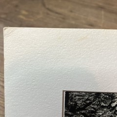 VTG Original Artwork Photography Modernist Black White Tree Bark Signed Soprano