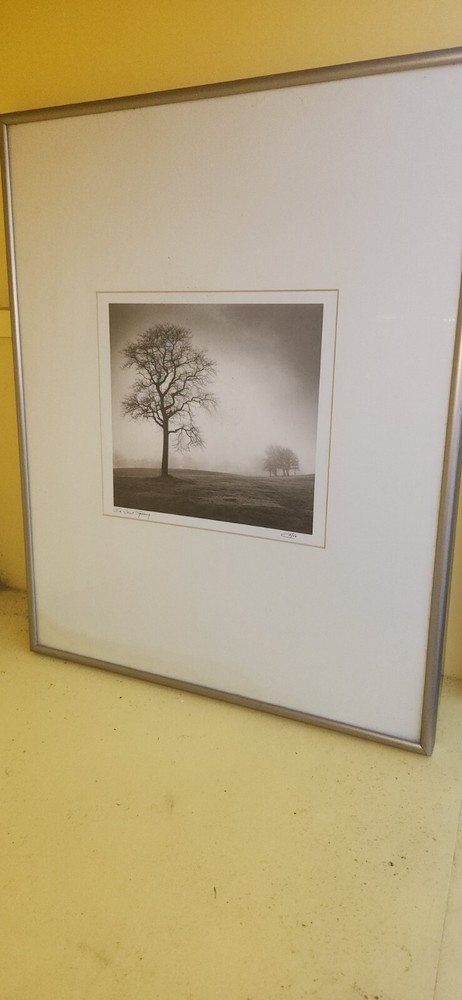 Calvo Trees «In Just Spring», Black & White Print By Richard Calvo, Framed