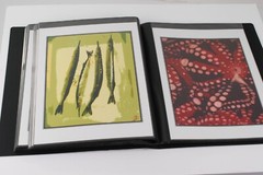 Photo Album – FISH MARKET Art Original Photography 40 – 5″ x 7″ Art Prints